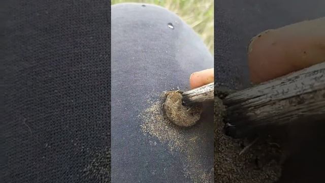 Nokta Anfibio Multi в деле! Коготь дракона 1500$