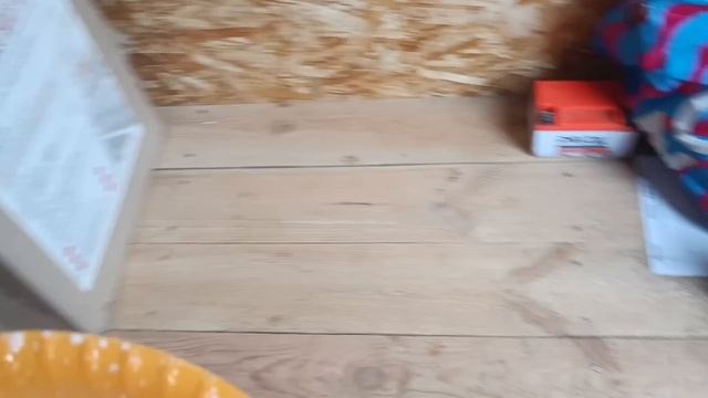 СОЛЯНКА из КАПУСТЫ! Щенки ищут хозяев!