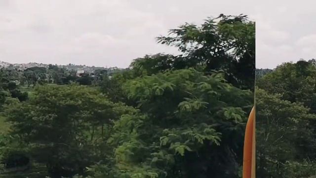 Green=Feel смотреть онлайн