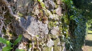 Крепость Петра-Банановая роща-Серные ванны в Вани. Путешествие по Грузии.