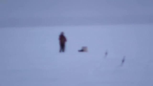 Новогодняя рыбалка 2015 смотреть онлайн