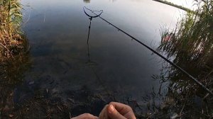 Рыбалка на фидер. Рыбалка на Самаре наедине собой.