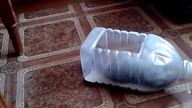 Шиншилла купается смотреть онлайн