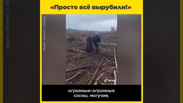 Про лес и Тайгу mp4 смотреть онлайн