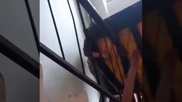 Грузчики, переезды, разнорабочие, грузоперевозки