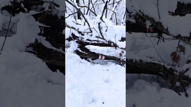 Поход выходного дня Горячий ключ - Бабаковы скалы. смотреть онлайн