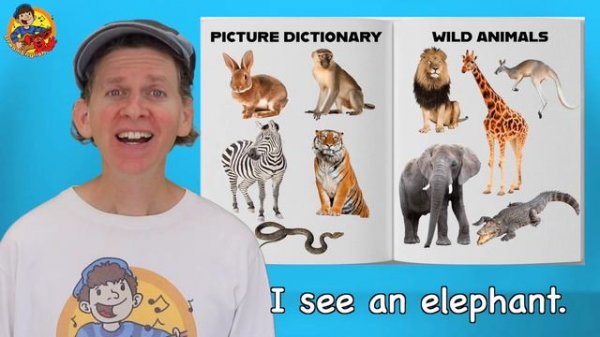 Wild Animals | Picture Dictionary Song | Dream English Kids