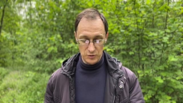 О чём молчит злодей Шваб? смотреть онлайн