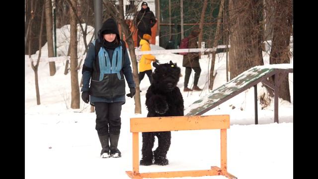 Стенка на Стенку Финал