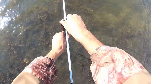 Легкая осенняя рыбалка на КОРМАКИ(Пружины).На диком водоеме.И такие рыбалки бывают смотреть онлайн