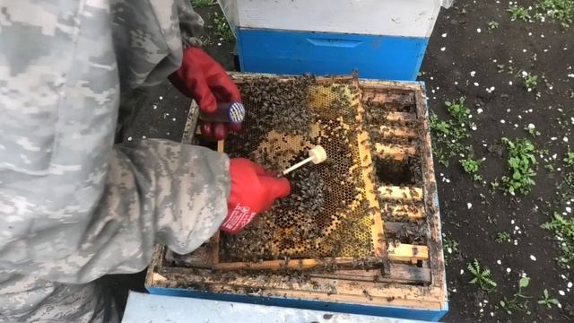 КОНТРОЛЬ СЕМЕЙ,МАТОЧНИКИ,ХОЛОДНАЯ ВЕСНА. смотреть онлайн