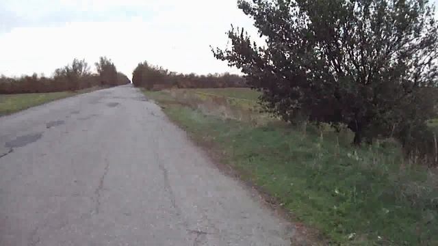 Подсолнечника будет меньше в 2020 г., но не будем унывать:) Поля возле пасеки. смотреть онлайн