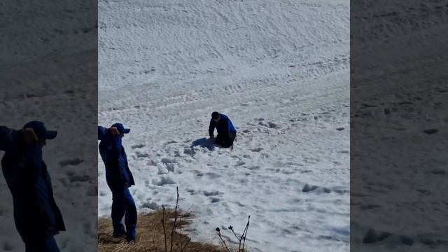 28 МаЯ 2023г. смотреть онлайн