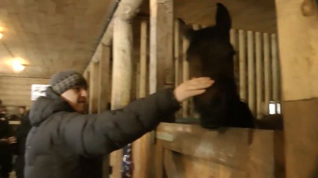 Мелиховские конюшни :-) смотреть онлайн