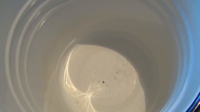 Кулинарные Фестивали и Конкурсы