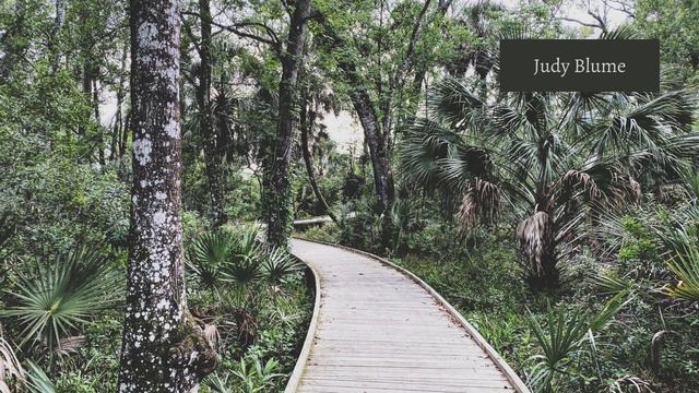 Judy Blume - Harvey Soto смотреть онлайн