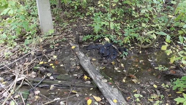 Богом забытый дом смотреть онлайн