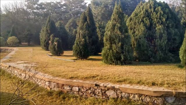 Tau Devi Lal Bio Diversity Park Gurgaon смотреть онлайн