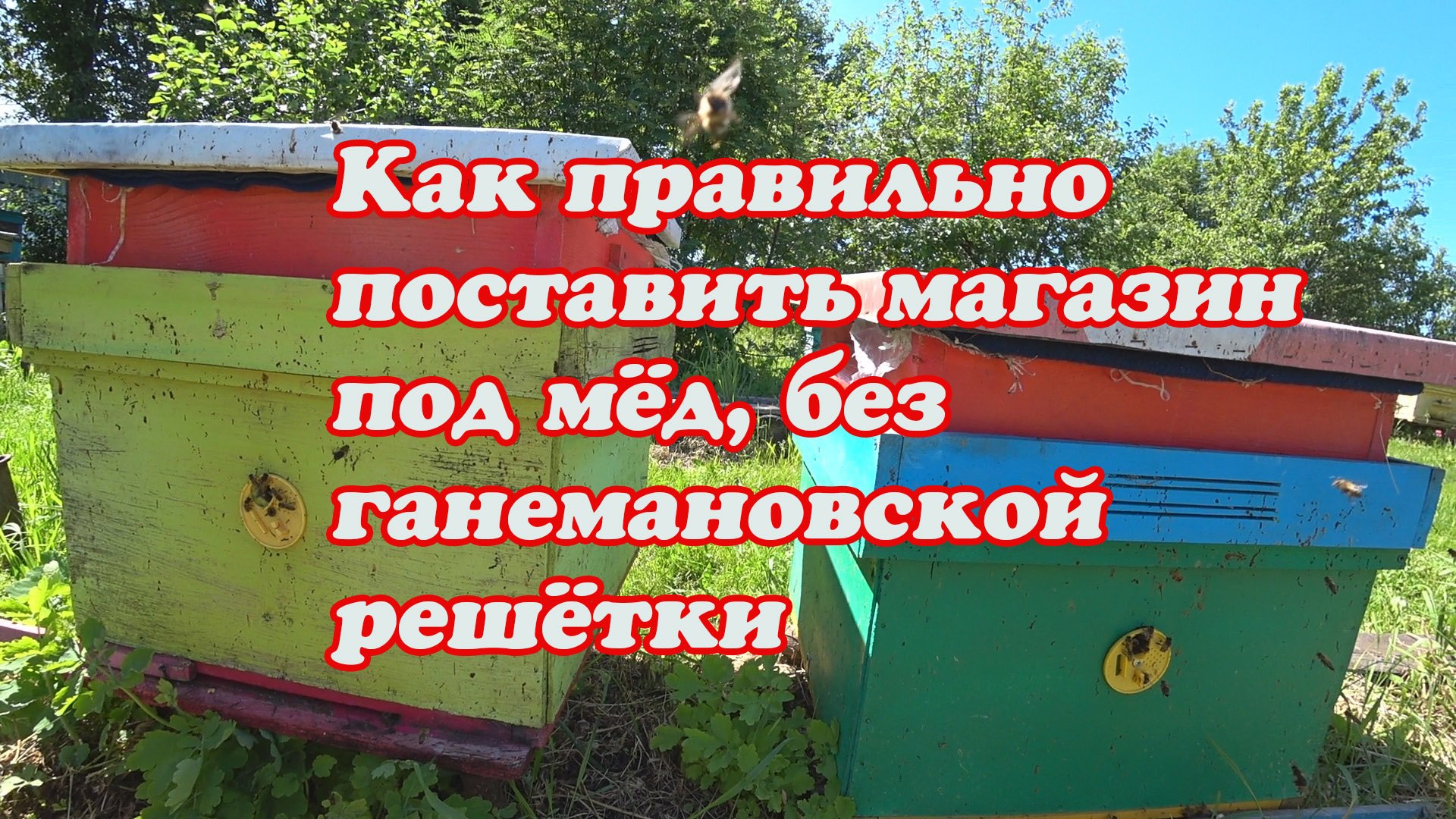 КАК ПРАВИЛЬНО ПОСТАВИТЬ МАГАЗИННУЮ НАДСТАВКУ ПОД МЁД БЕЗ ГАНЕМАНОВСКОЙ РЕШЁТКИ. смотреть онлайн