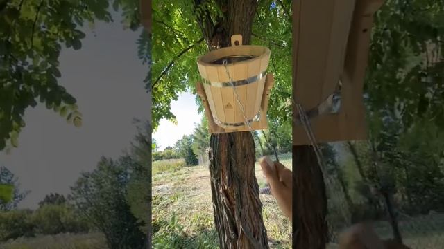 Ведро для обливания смотреть онлайн