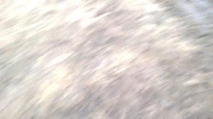 Проверка рыбных мест г.Бор нижегородская обл ч.3