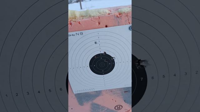 Кардинал 6.35 стрельба на 50 м. ствол 320 мм.