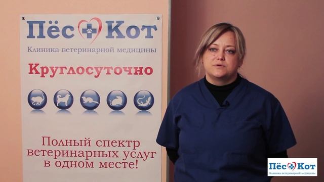 Ее Величество, Блоха! Ветеринарная клиника "Пес+Кот", Харьков смотреть онлайн