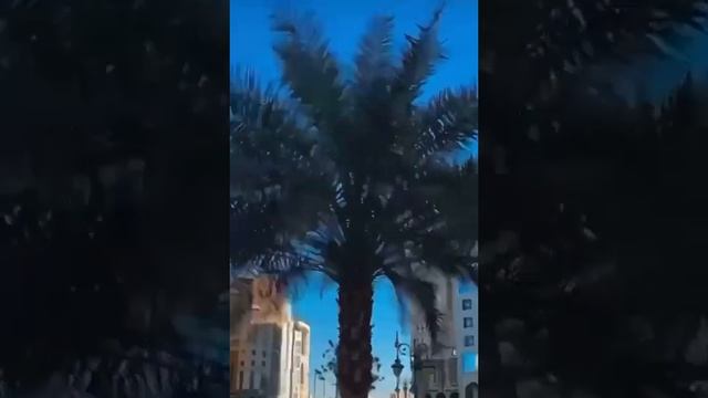 Живи #стихотворение или … смотреть онлайн