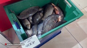 Сколько стоят морепродукты на Сахалине?