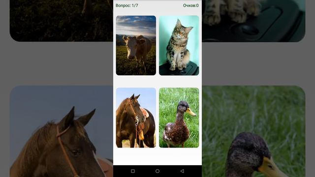 Английский язык. Домашние животные. смотреть онлайн