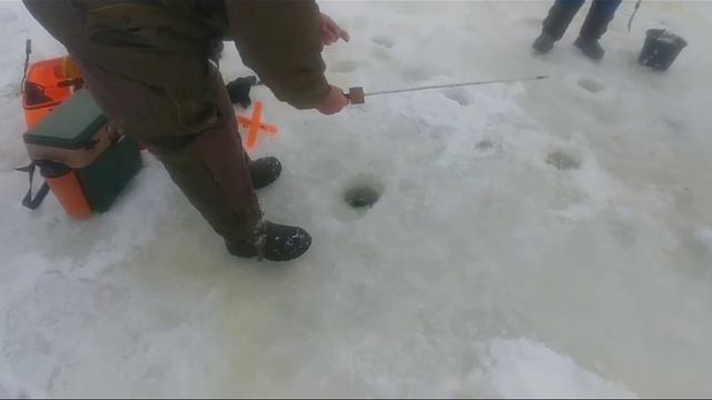 Светлые Горы. Форель 28.01.24 смотреть онлайн