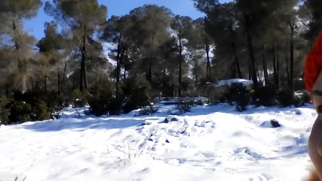 Какого цвета снег смотреть онлайн