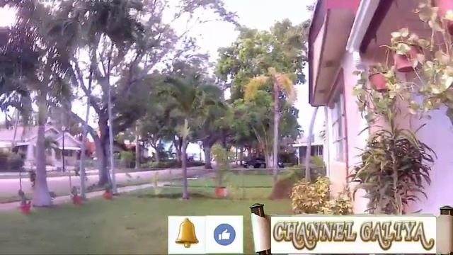 USA ? КРАСИВЫЙ ВЕЧЕР. СНЯТО КАМЕРОЙ ЭКШЕН? смотреть онлайн