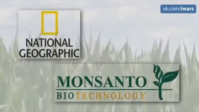 Настоящее содержимое современных продуктов питания смотреть онлайн