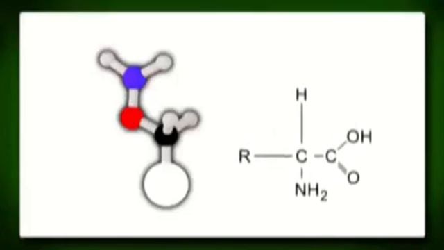 аминокислоты1 смотреть онлайн