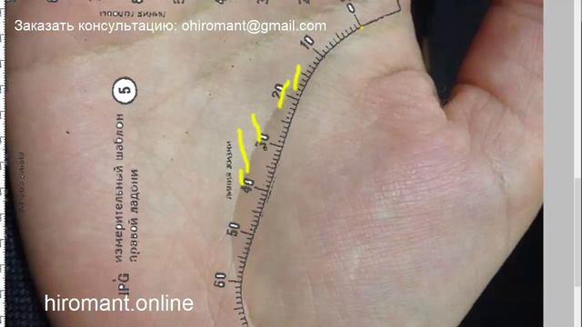 Линии успеха и линии ослабления здоровья на линии Жизни смотреть онлайн