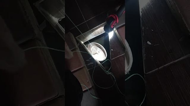 Кот упал в садовый туалет смотреть онлайн