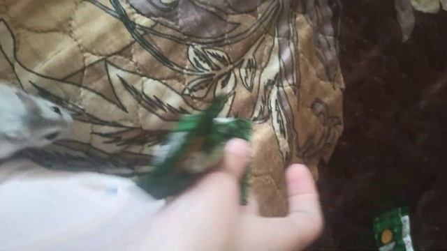 Вскрываем монеты