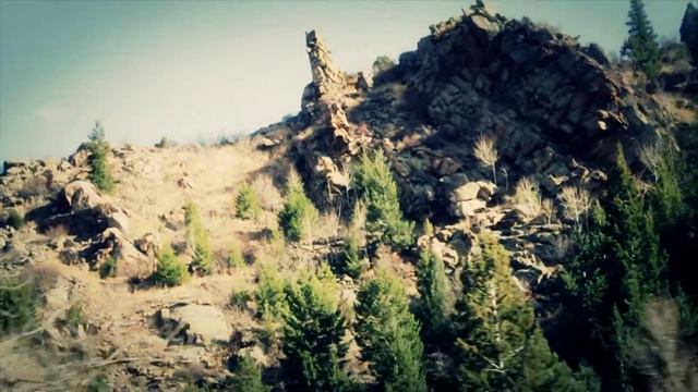 Take Flight By:Jonelle Glori смотреть онлайн