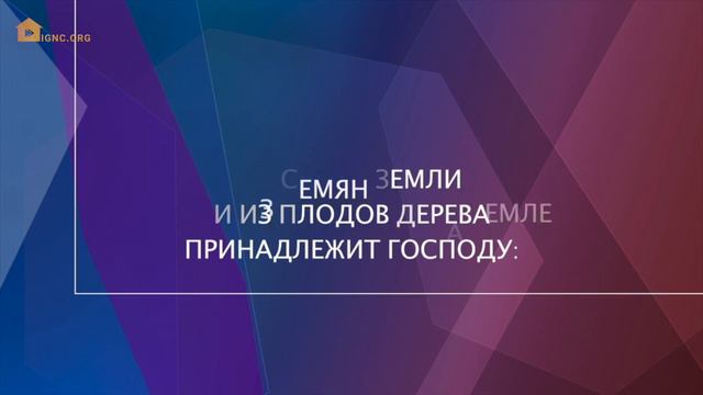 «Каково это — следовать за Иисусом Христом?» . Павел Реннер(2019-07-28) смотреть онлайн