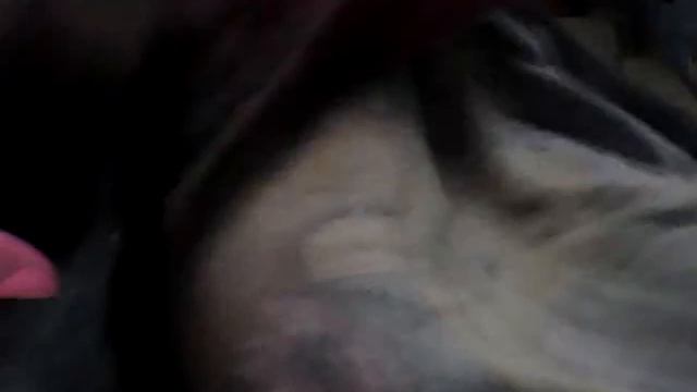 Thrifty Trendy Living