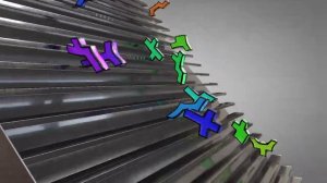 Hexominoes Softbody Simulation V67 C4D4U