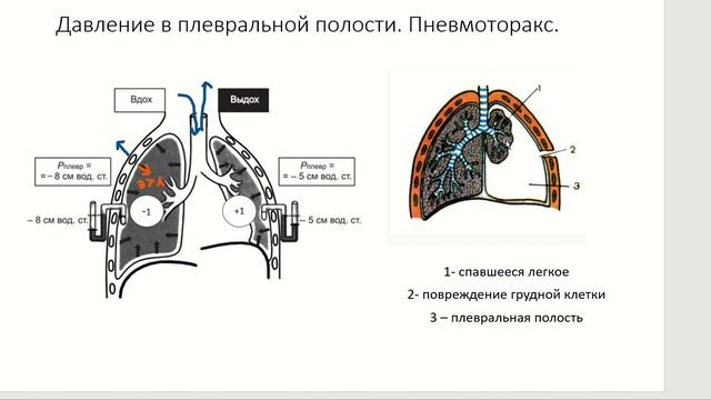 Внешнее дыхание. смотреть онлайн
