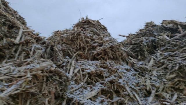 Коломенское без ЮНЕСКО. Что построят возле Храма Вознесения. Из цикла уничтожение Коломенского. ч 1