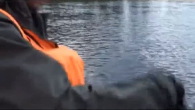 Дикие гуси — это безумно вкусно