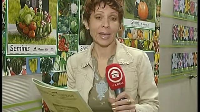 Профессиональные семена смотреть онлайн