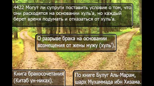 4422 Могут ли супруги поставить условие о том, что они расходятся на основании хуль'а смотреть онлайн