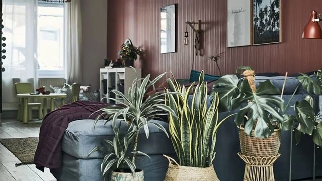 Как расставить растения в комнате смотреть онлайн