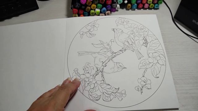 Обзор расскраски,,Китайские мотивы,, сюжеты для акварели .