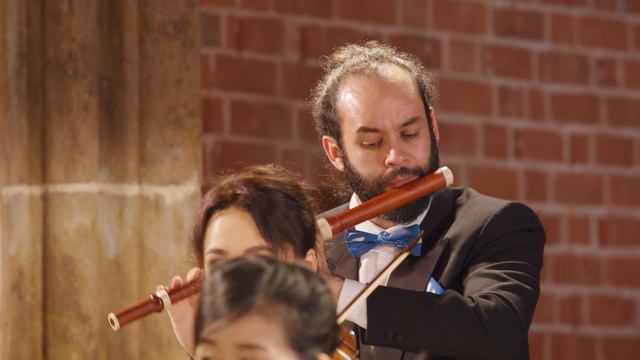 Johann David Heinichen: Concerto in G major, S.217, III. Grave – Bremer Barockorchester смотреть онлайн